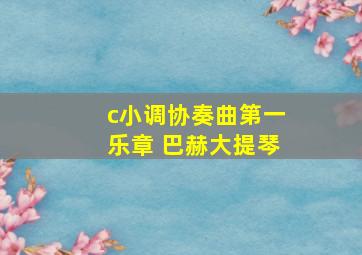 c小调协奏曲第一乐章 巴赫大提琴